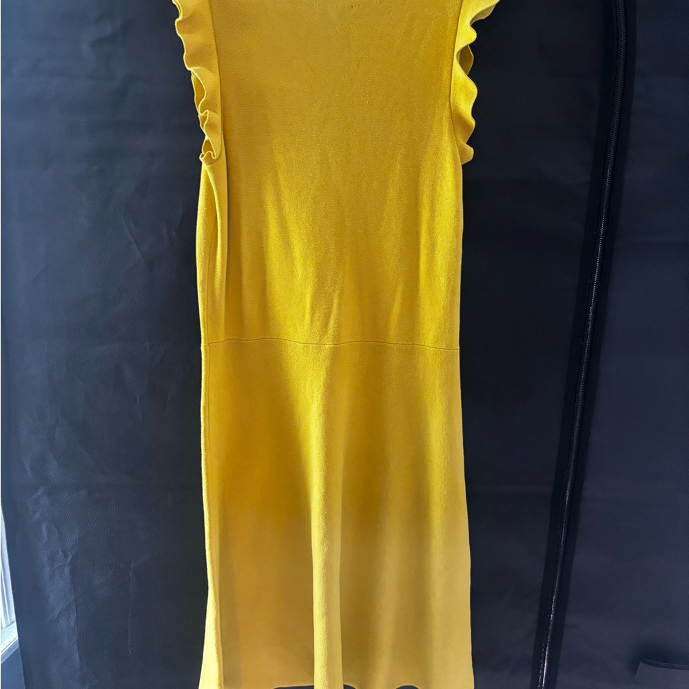 Ann Taylor Yellow Ruffle Sleeveless A-Line Dress - Picture 5 of 9